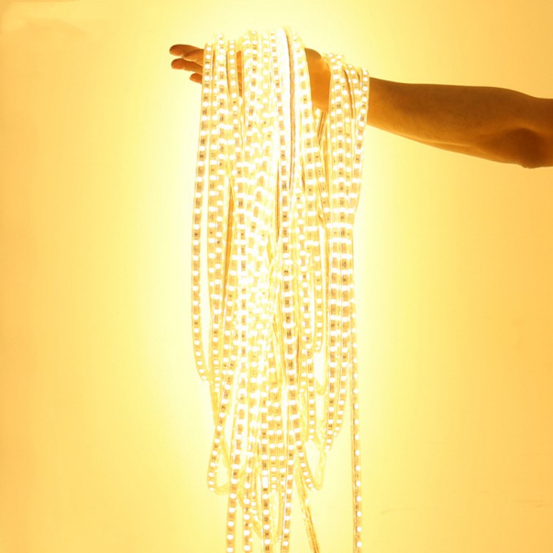 Outdoor Power Strip Weatherproof - AC220V SMD 5050 LED Strips Light